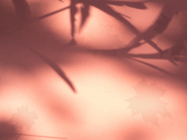 秋天背景枫叶秋天阴影覆盖背景空模板照片景观森林红色米色模拟海报感恩节假期派对图案树叶树叶设计横幅抽象光。图片下载