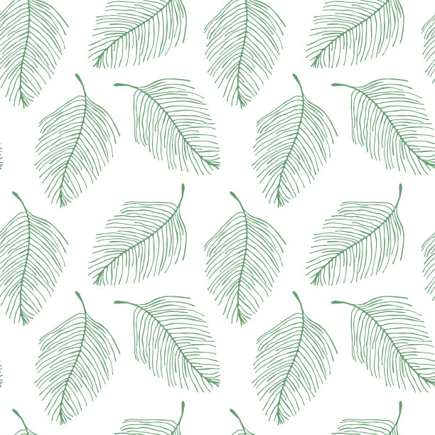 热带模式图片下载