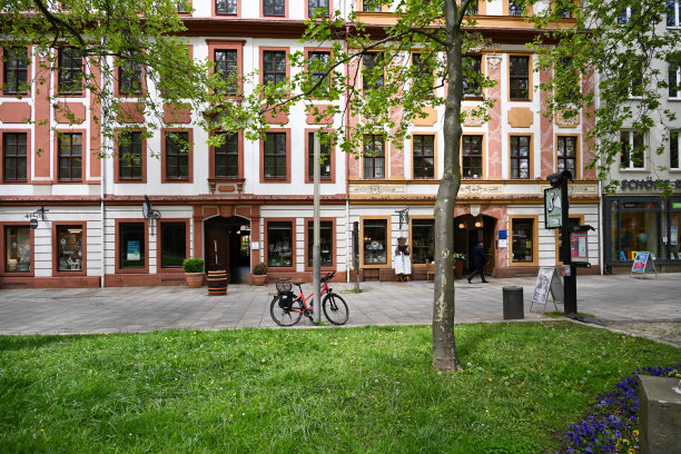 Hauptstraße(从1946年到1991年)是德累斯顿内城区中心的主要步行街之一。图片下载