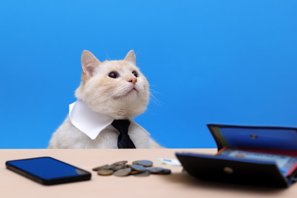 戴着黑色领带的大红猫在桌子上抬起头来。桌上有手机、钱和一个装有信用卡的钱包。蓝色背景图片下载