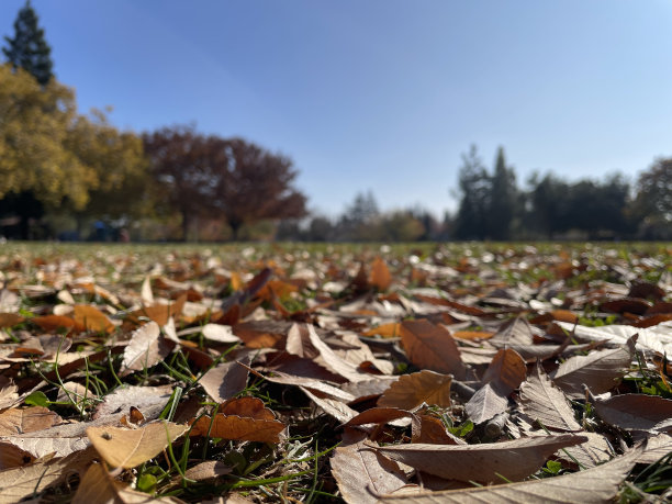 2022年秋季图片下载