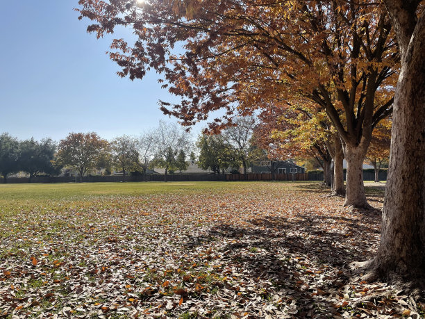 2022年秋季图片下载