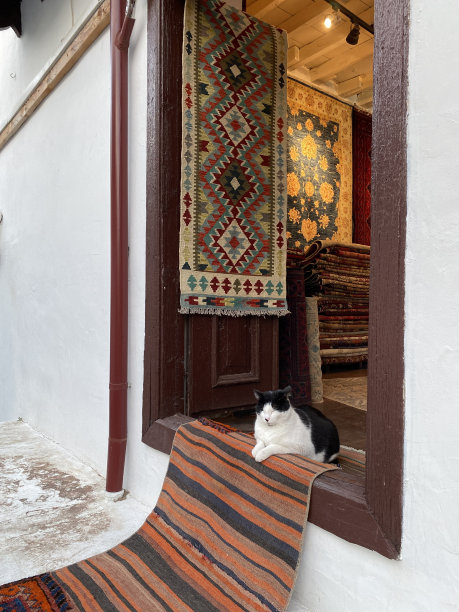 土耳其地中海卡斯镇的地毯店。一只猫在正品地毯店前的枕头上睡觉。图片下载