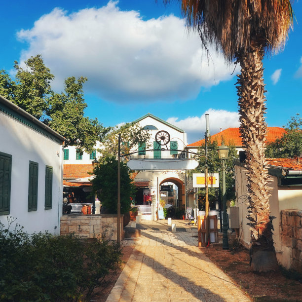 阳光明媚的乡村街道小路广角彩色照片图片下载