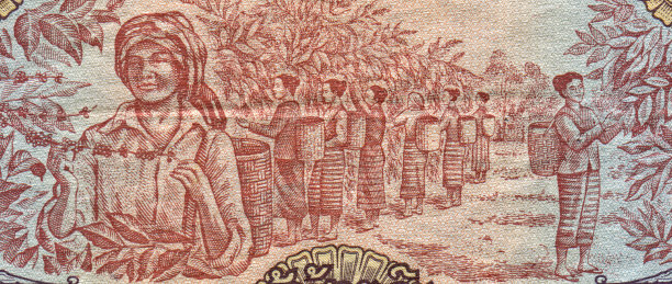 老挝货币上的采摘咖啡图案设计图片下载