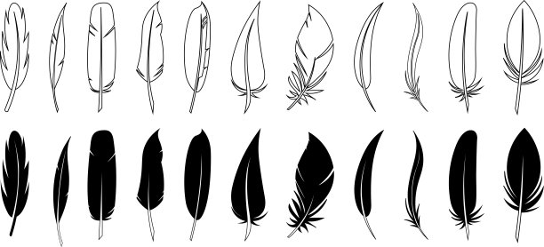一套黑色羽毛的扁平样式。一套鸟羽毛。钢笔矢量图标。黑色羽毛轮廓。图片下载