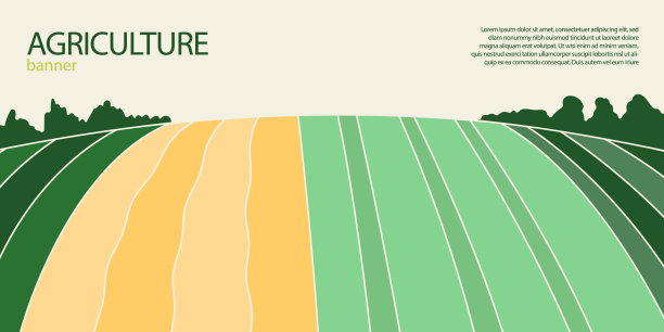 抽象农业领域或农场卡片横幅与文字的地方图片下载