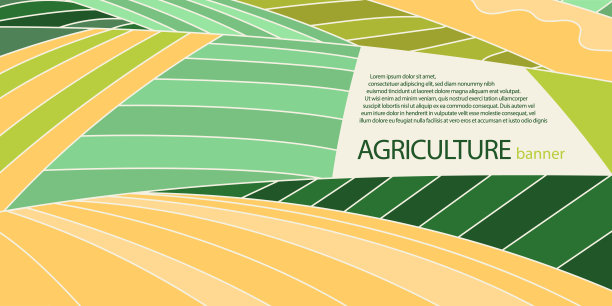 抽象农业领域或农场卡片横幅与文字的地方图片下载