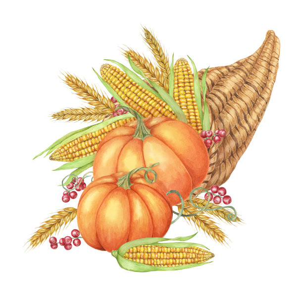 聚宝盆里装满了南瓜、五颜六色的玉米棒、小麦杆和浆果。角丰富的水彩剪贴画感恩节装饰图片下载