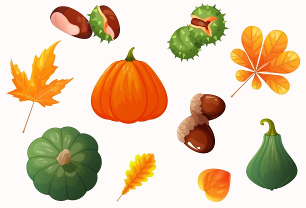 一套南瓜、树叶、坚果。森林集合矢量插图。核桃矢量插图。南瓜设计图片下载
