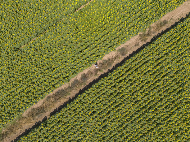 小企业、农业图片下载