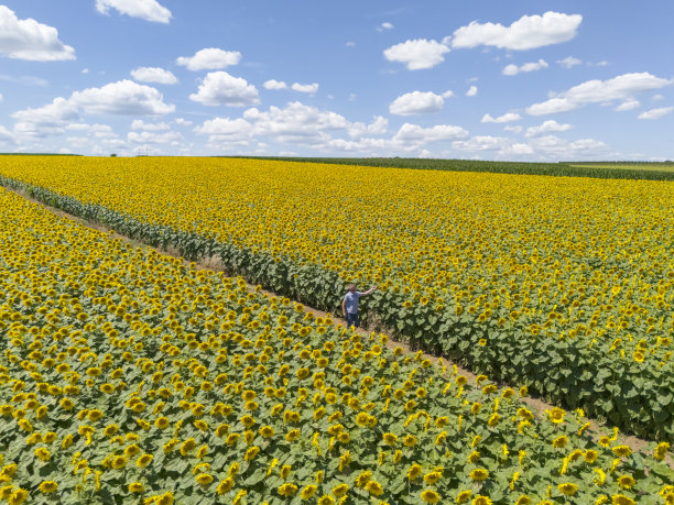 小企业、农业图片下载