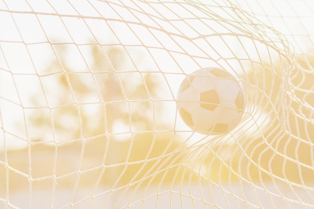 球门里的足球。足球。图片下载