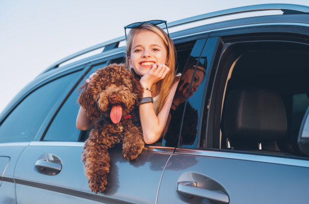 图片:毛茸茸的棕玛蒂波狗和微笑的小女孩坐在汽车后座，从打开的车窗向外看。现代家庭观念中的有趣宠物。图片下载