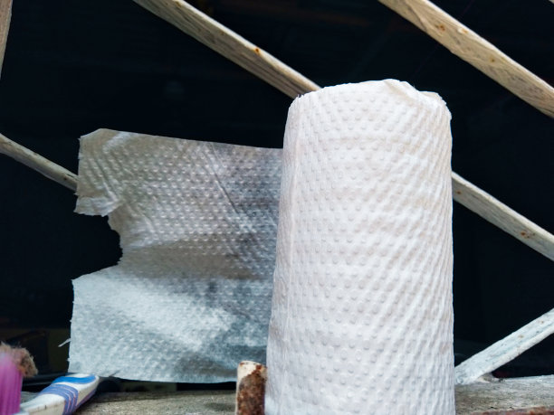 图片上是一卷白色卫生纸，后面的地板上放着一卷用了一半的卫生纸。图片下载