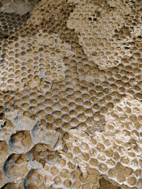 创意背景在生活色彩和圆形圆圈的背景使用或装饰。图片下载