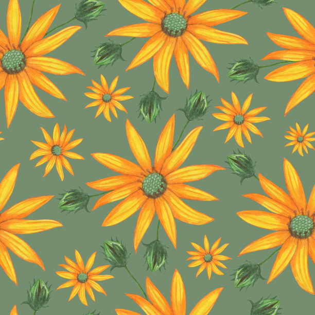 Topinambur花无缝图案。花卉数码纸。图片下载