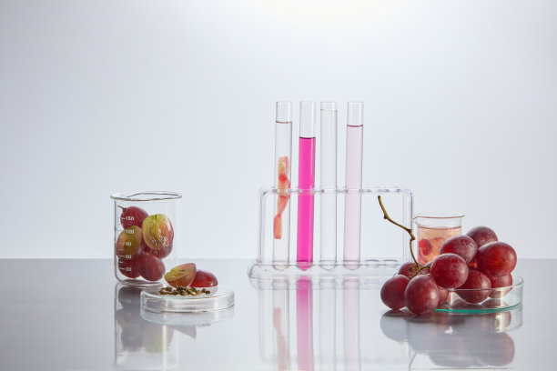 新鲜的葡萄和提取的葡萄籽包含在实验室玻璃器皿，它显示在白色的桌面。照片的正面角度，空白空间的宣传和添加设计元素图片下载