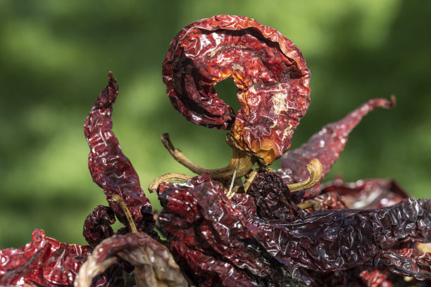 干辣椒的艺术照片。辣椒在那堆里。绿色模糊背景，为文字留出空间。图片下载