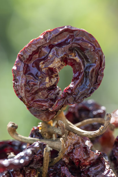 干辣椒的艺术照片。辣椒在那堆里。绿色模糊背景，为文字留出空间。图片下载