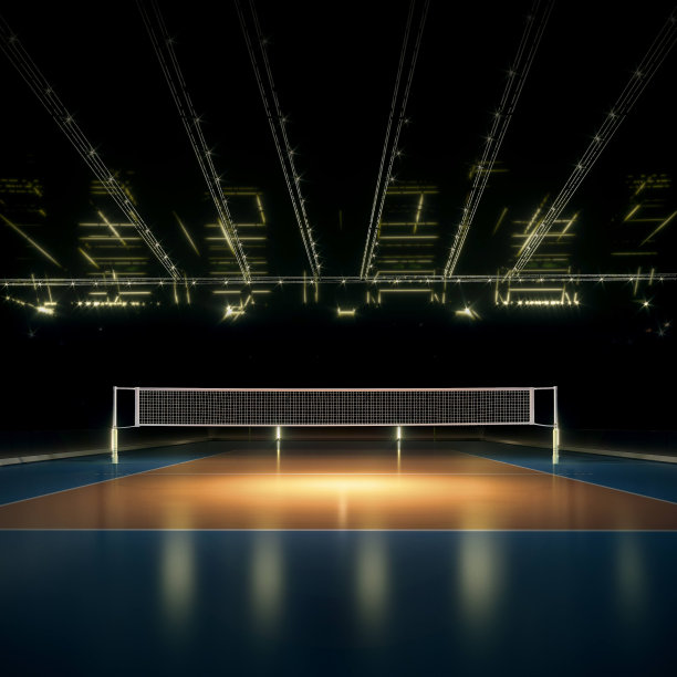 灯光下空荡荡的职业排球场图片下载