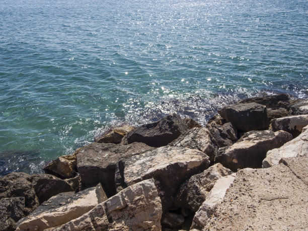 海滩上的热带冲浪图片下载