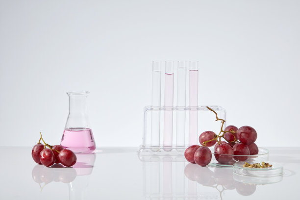 白色背景照片，实验室布局和葡萄成分，葡萄籽精油包含在实验室玻璃器皿，如瓶和试管。用于显示的中间空白空间图片下载