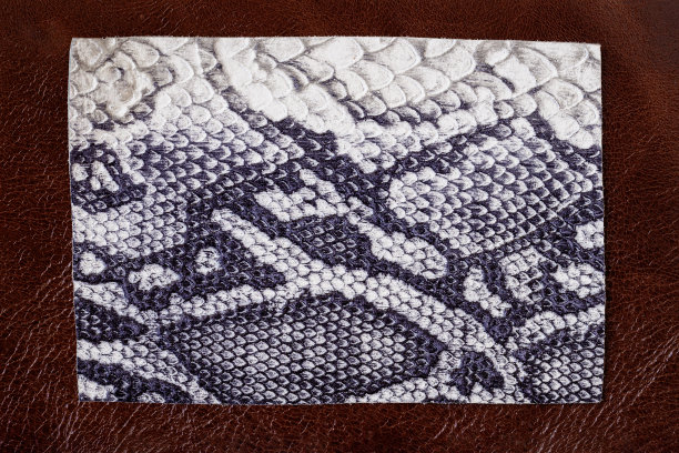 在另一皮革上有爬行动物压花的真皮样品的顶视图，旗帜的自然背景图片下载
