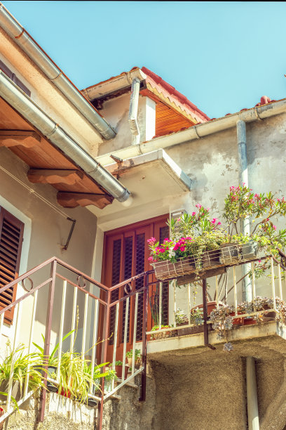 舒适的门廊有花盆，锻铁栏杆和木门图片下载