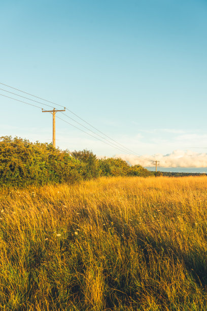 一种在农田内输送高压电力的输电线图片下载