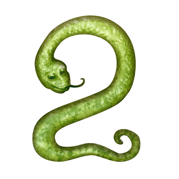 第二种形式是一条绿色的蛇，象征着2025年中国新年快乐，根据蛇年的生肖。为卡片模板的水彩插图，祝贺图片下载