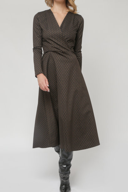 系列工作室照片的女模特在图案棕色中长裙，秋冬时装系列。图片下载