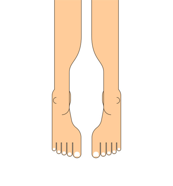 人腿俯视图。腿孤立图片下载