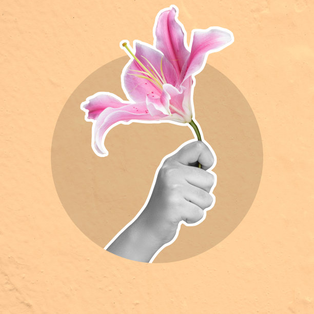 一只手拿着一朵粉红色的玫瑰花图片下载