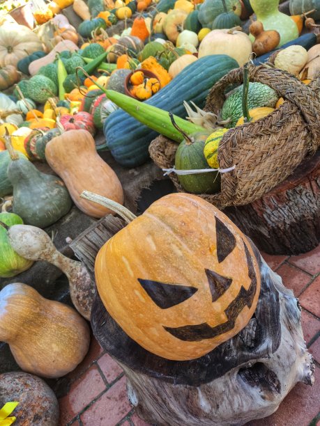 万圣节图片下载