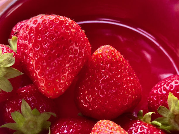 的草莓图片下载