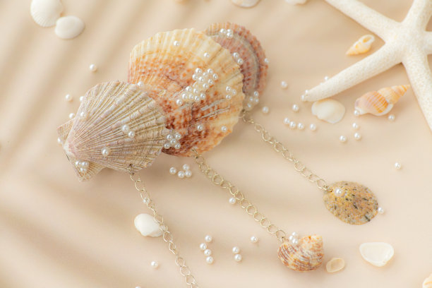 美丽的发夹用蛤和珍珠做成，周围是小贝壳和海星图片下载