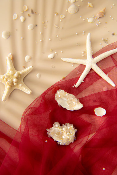 漂亮的胸针，由珍珠和大贝壳制成，周围是小贝壳和海星图片下载