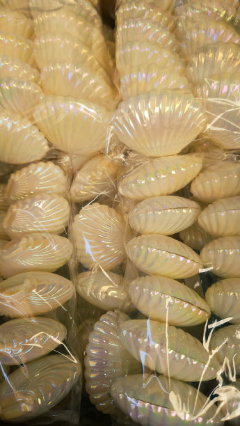 有光泽的塑料牡蛎壳盒包装图片下载