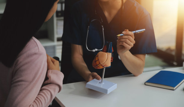 医生在3d人体模型中展示内脏器官。穿着实验室大褂，戴着听诊器的女人坐在桌边，拿着笔记本电脑谈论人体解剖学。卫生保健和医学教育理念。照片图片下载