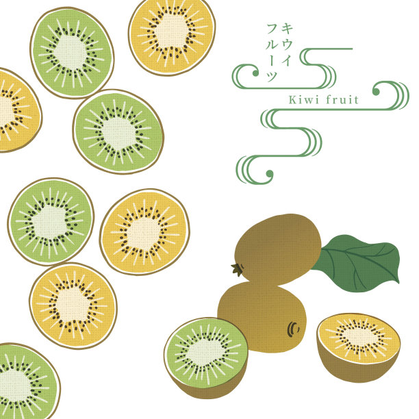 猕猴桃矢量插图-图片下载