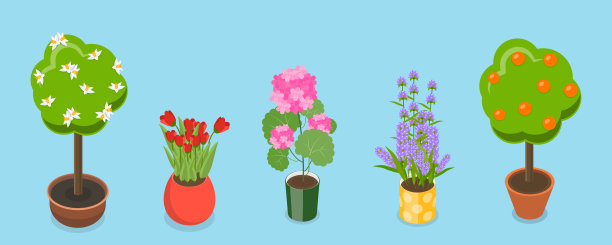 三维等距平面矢量集的花园花卉图片下载