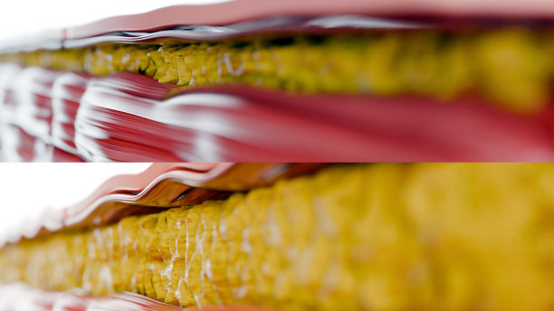 减肥比较。人的身体蜕变。之前和之后的粗腰和细腰，胖肚子之前和苗条贴合完美腹肌之后的快速减肥过程。体育训练。脂肪燃烧，3d渲染图片下载