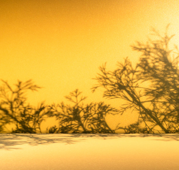 黄色背景墙工作室房间实心厨房裙楼地板背景产品场景阴影阁楼舞台橙色夏季平台金色室内抽象模拟热带水泥最小大理石办公桌。图片下载