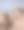 中国内蒙古沙漠中三只滑稽骆驼的特写图片下载