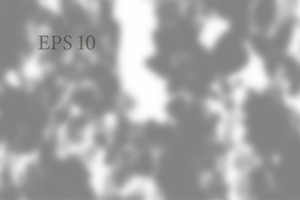 透明的天然植物阴影。灯光效果叠加。编织网。地面上树枝、植物、树叶的阴影。介绍你的设计卡海报照片现实矢量插图图片下载