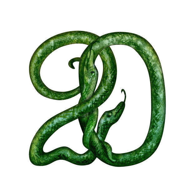 数字20交织在一起的青蛇庆祝结婚纪念日，生日在绿木蛇年为以东历。模板水彩插图图片下载