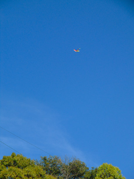 举起风筝图片下载