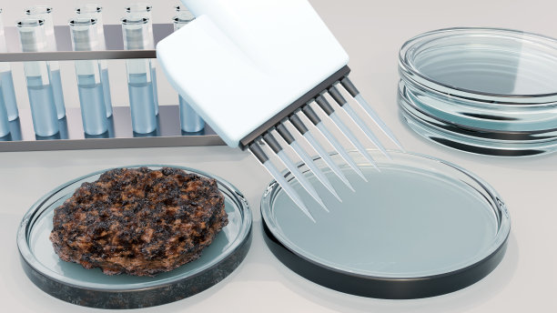 圆形牛肉饼的3d渲染位于培养皿内图片下载
