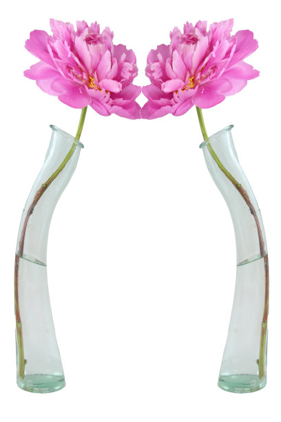 给我们一个吻图片下载